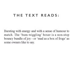 Boxer Ceramic Mug - Designed & Hand Finished in the UK 