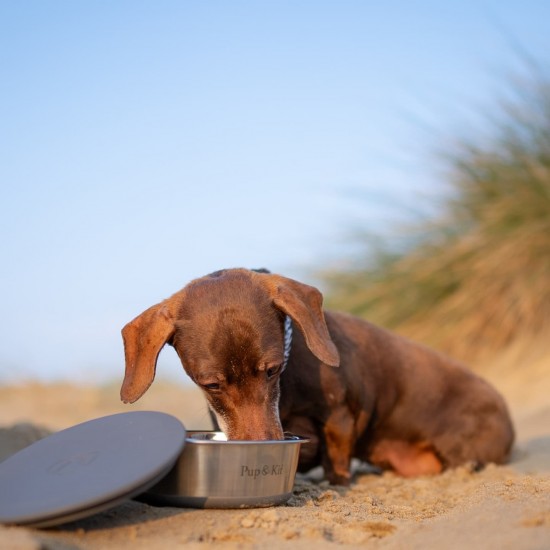 Lid-it Dog Bowl & Stay-Fresh Lid 