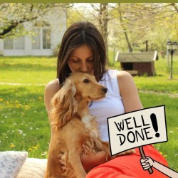 QDog: The Complete Puppy & Dog Training Course QDog: The Complete Puppy & Dog Training Course