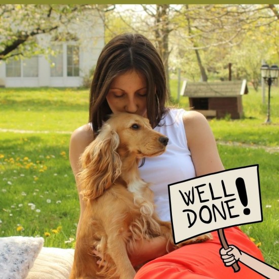 QDog: The Complete Puppy & Dog Training Course
