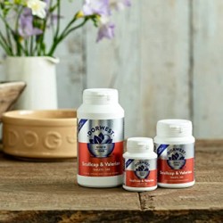 Dorwest Scullcap & Valerian Tablets for Dogs & Cats Dorwest Scullcap & Valerian Tablets for Dogs & Cats