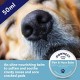 Dorwest Paw & Nose Balm for Dogs 50ml