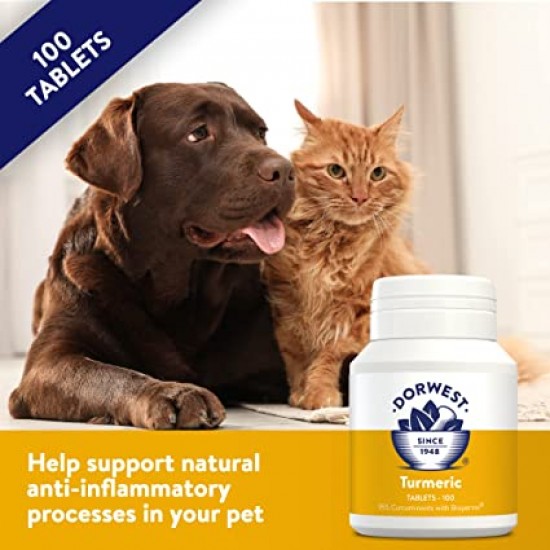 Dorwest Turmeric Tablets for Dogs & Cats Anti-Inflammatory - Joints