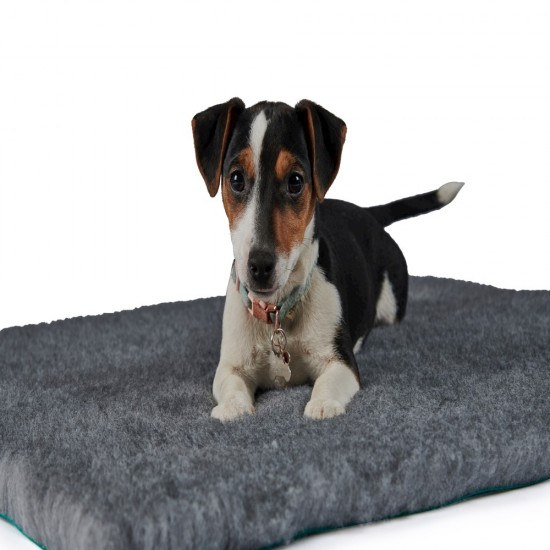 Vet Bedding in Grey Vet Bedding in Grey
