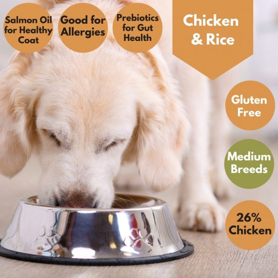 Chicken & Rice dog food - Allergies - Salmon Oil - Pre-biotics for gut health 