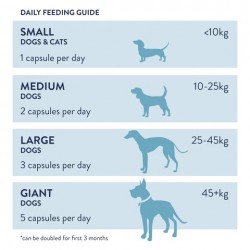 Dorwest	Cod Liver Oil Capsules For Dogs And Cats Dorwest	Cod Liver Oil Capsules For Dogs And Cats