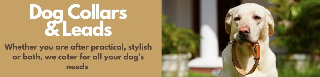 Dog Collars & Leads