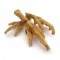 Natural Chicken Feet  Natural Chicken Feet
