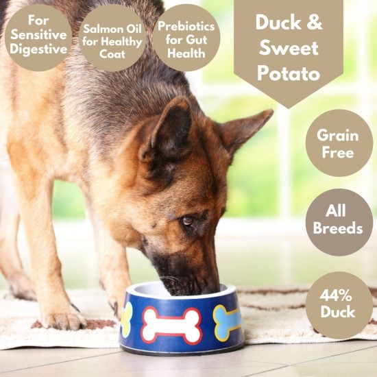 Duck and Sweet Potato Dog Food - 44% Duck - Salmon oil - Sensitive