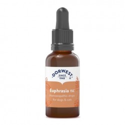 Dorwest Euphrasia 15C Homeopathic Drops for Dogs & Cats - Keep Eyes Clear & Bright Dorwest Euphrasia 15C Homeopathic Drops for Dogs & Cats - Keep Eyes Clear & Bright
