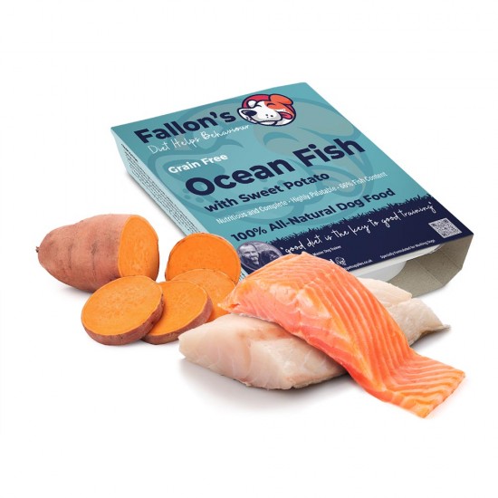  Ocean Fish & Sweet Potato Grain Free - Wet Dog Food - Omega 3 - Sensitive  - 10 x 395g