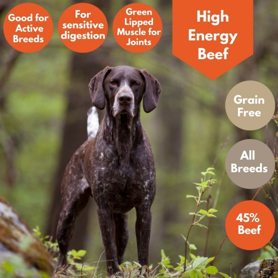  High Energy Beef Gundog,Cani Cross, Agility , Bull dog breeds Dog Food with Sweet Potato TRIAL Pack