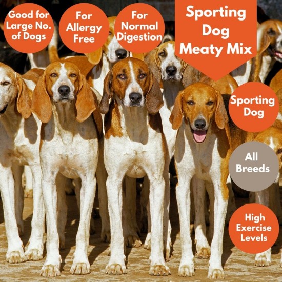Sporting Dog Meaty Mix Gundog- Working Dog Breeds