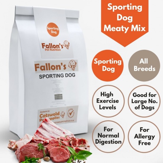 Sporting Dog Meaty Mix Gundog- Working Dog Breeds