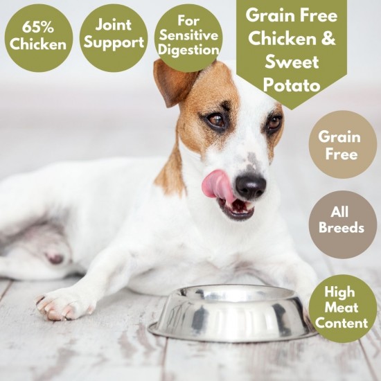 Chicken & Sweet Potato - Wet Dog Food Sensitive - Joints 10 Pack