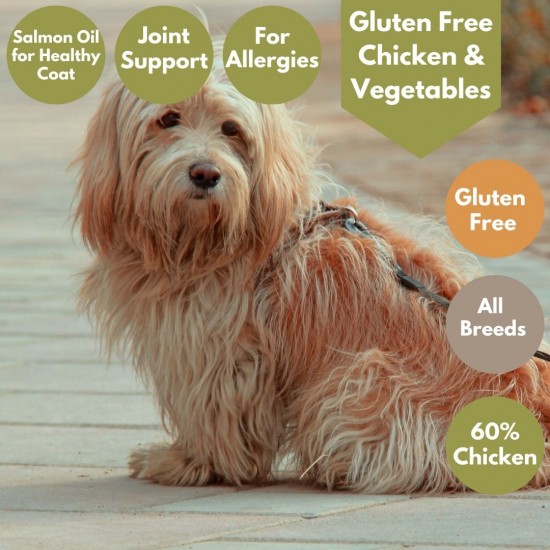 Chicken & Rice  - Wet Dog Food - Gluten Free - Pack of 10 Trays x 395g