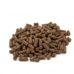 Cold Pressed Beef & Sweet Potato Grain Free Dog Food 