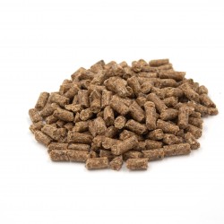 Cold Pressed Immunity Boost Dog Grain Free Dog Food with Spirulina