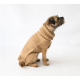 Dog Jumpers - The Jazz Dog Jumpers - The Jazz
