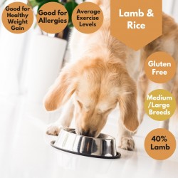 Lamb & Rice- Wheat Gluten Free Dog Food - 40% Lamb - Allergies - 