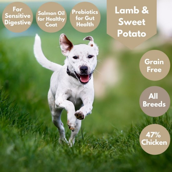 Lamb and Sweet Potato Dog Food- 42% Lamb - Salmon Oil - Sensitive