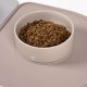 Mess-Free Dog Feeding Station with Ceramic Bowls & Quick-Dry Mat