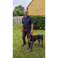 Dog Walking Belt by Walk Your Dog with Love