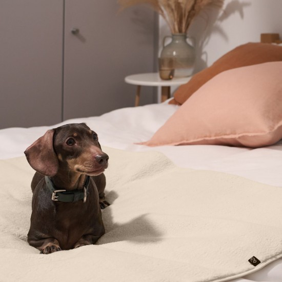 Pup & Kit Pet Protector Waterproof Blanket