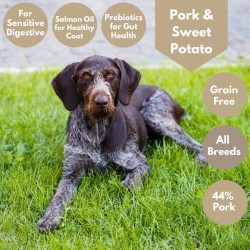 Pork & Sweet Potato Dog Food - 40% Pork - Salmon oil - Sensitive Dog Food Pork & Sweet Potato Dog Food - 40% Pork - Salmon oil - Sensitive Dog Food