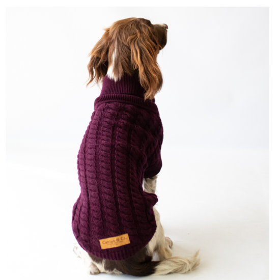 Dog Jumpers - The Rascal Dog Jumpers - The Rascal