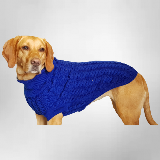 Dog Jumpers - The Rascal