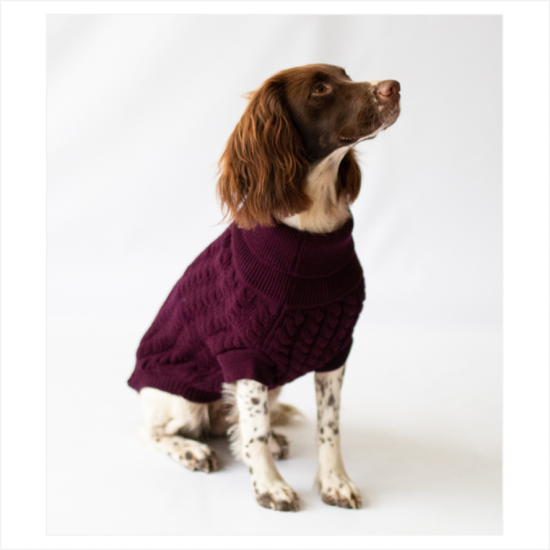 Dog Jumpers - The Rascal Dog Jumpers - The Rascal