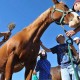 Ron Fields Routine ULC for Horses