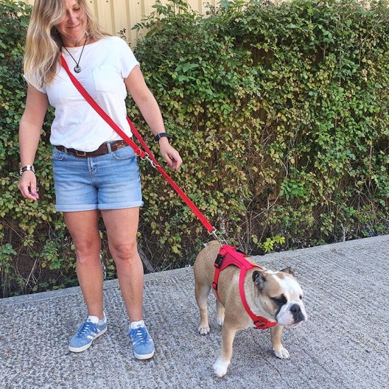 Double ended Dog Walking/Training Lead 3 Point Double ended Dog Walking/Training Lead 3 Point