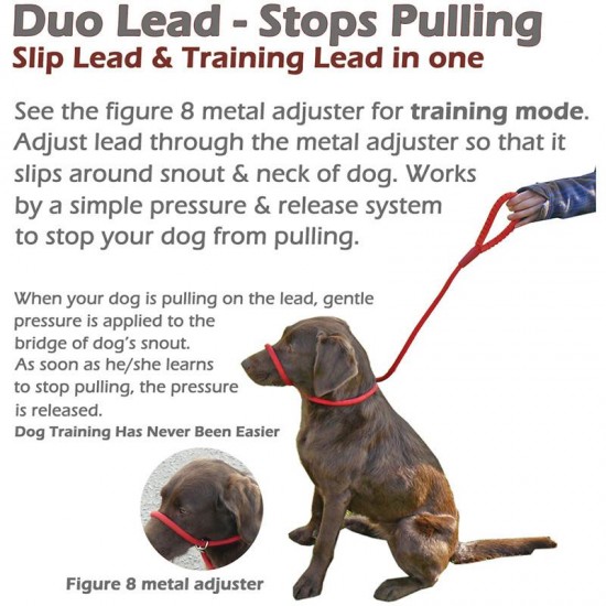 Dog Head Control Lead