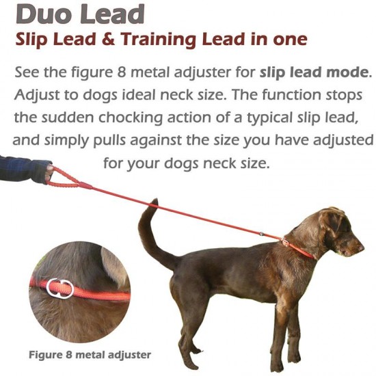 Dog Head Control Lead with Rubber Handle