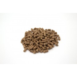 Cold Pressed Salmon & Sweet Potato Grain Free Dog Food 