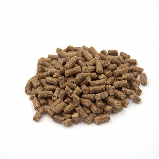 Cold Pressed Salmon & Sweet Potato Grain Free Dog Food Cold Pressed Salmon & Sweet Potato Grain Free Dog Food