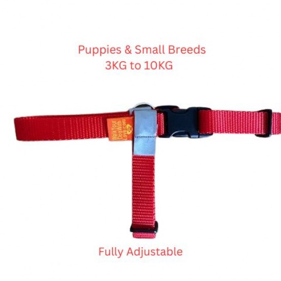Walk Your Dog With Love Sportso Doggo No Pull Dog Harness Walk Your Dog With Love Sportso Doggo No Pull Dog Harness