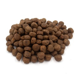 Salmon & Potato Super Sensitive - Food Sensitivities  - Allergies -35% Salmon Dog Food
