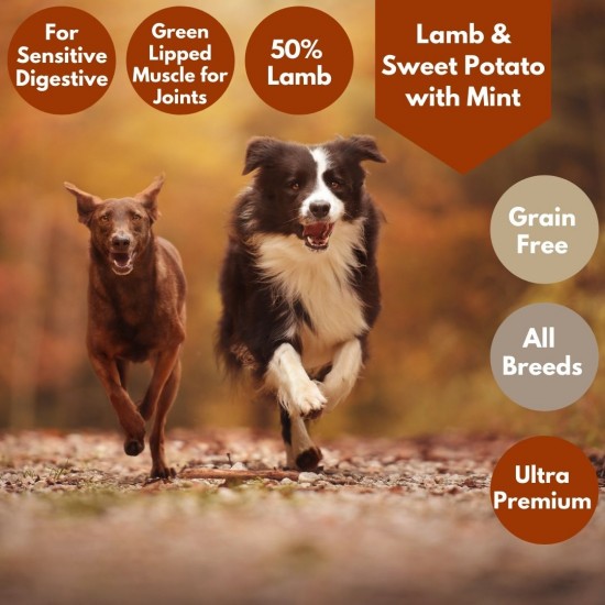 Ultra Premium Lamb & Sweet Potato with Mint  Dog Food - 50% Lamb - Green Lipped Mussel for Joints dog food TRIAL Pack