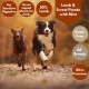 Ultra Premium Lamb & Sweet Potato with Mint  Dog Food - 50% Lamb - Green Lipped Mussel for Joints dog food TRIAL Pack