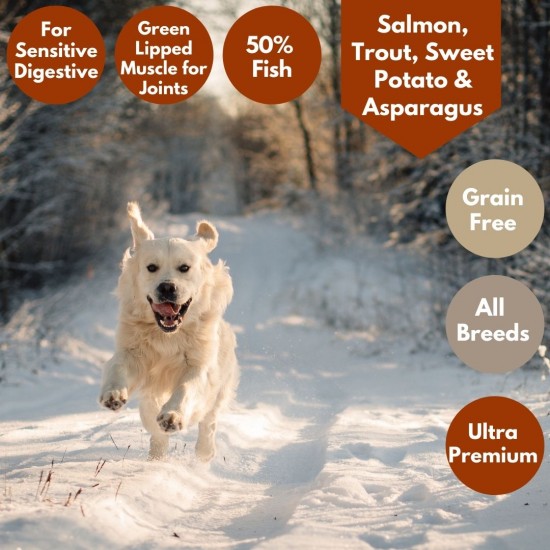 Ultra Premium Salmon ,Trout & sweet potato with asparagus - 50% Fish - Green Lipped Mussel for Joints dog food