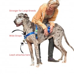 Walk Your Dog With Love -  Broadband Harness for Big Dogs!  Walk Your Dog With Love -  Broadband Harness for Big Dogs!