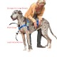 Walk Your Dog With Love - Broadband Harness for Big Dogs! Walk Your Dog With Love - Broadband Harness for Big Dogs!