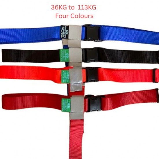 Walk Your Dog With Love - Broadband Harness for Big Dogs! Walk Your Dog With Love - Broadband Harness for Big Dogs!