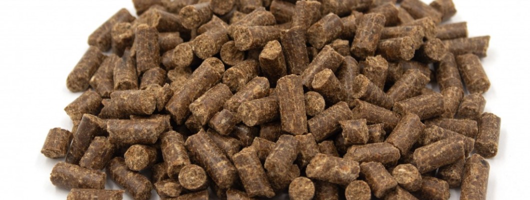 Fallon’s Cold Pressed Dog Food: A Natural Approach to Feeding Your Dog