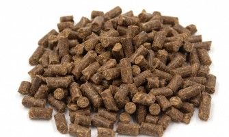 Fallon’s Cold Pressed Dog Food: A Natural Approach to Feeding Your Dog
