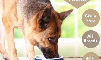 Why We Spent £500 on Grain-Free Duck & Sweet Potato Dog Food (And Would Do It Again)