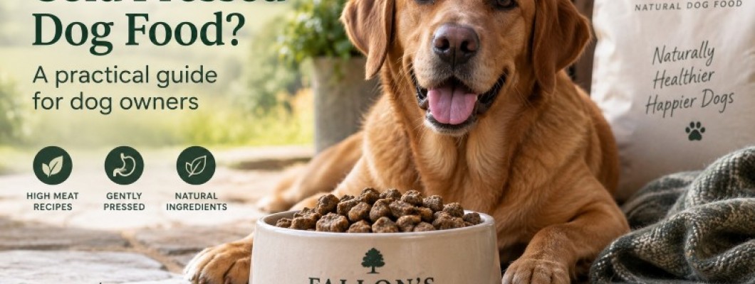 What Is Cold Pressed Dog Food? A Practical Guide for Dog Owners